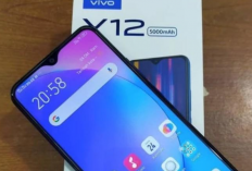 Cara Hard Reset Vivo Y12 Kembali ke Setelan Pabrik Paling Mudah, Praktis, dan Aman