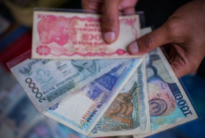 Kumpulan Nomor WA Kolektor Uang Kuno di Indonesia Update 2024, Siap Ditawar Hingga Ratusan Juta Rupiah!