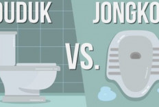 Kloset Jongkok Vs Kloset Duduk Mana yang Paling Bagus? Jangan Asal Milih Ya!