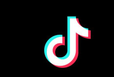 Link Download TikTok Apk All Region 2024 Terbaru GRATIS No Watermark, Unlocked All Video 