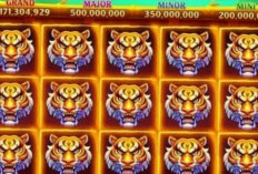 Pola Room Panda Higgs Domino Jackpot Full Harimau Hanya 3 Menit Saja!