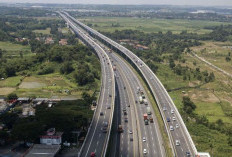 Info Tol Mbz Hari Ini Maret 2024 Dengan Tarif Terbaru, Ini Daftarnya di Jakarta-Cikampek