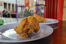 Daftar Alamat Cabang Olive Fried Chicken Semarang 2023, Dilengkapi Menu dan Harganya
