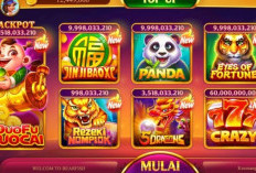 Free Download Higgs Domino Versi Lama 1.74 APK Ada Tombol Kirimnya, Gratis Unduh Untuk iOS Android