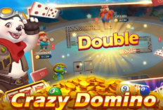 Cara Bongkar Chip BEARFISH Higgs Domino 24 Jam 2024 Lengkap + Daftar Agen nya, Bermain Jadi Makin Semangat!