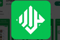 Link Download Aplikasi SiHalal BPJPH APK Versi Terbaru 2023 untuk Dapatkan Sertifikasi Halal yang Praktis Langsung Dari Ponselmu 