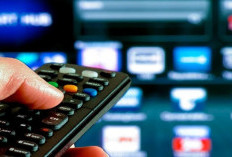 Kode Frekuensi TV Digital Jepara Lengkap Dengan Channel Favoritmu!