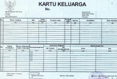 Cara Cek KK (Kartu Keluarga) Jawa Tengah Bisa Dilakukan Online Lewat dukcapil.kemendagri.go.id
