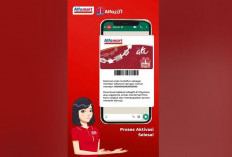 Cara Cek Poin Alfamart Lewat Aplikasi WhatsApp Terbaru 2024, Jadi Makin Mudah dengan Banyak Promo!
