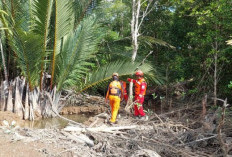 Kronologi Bocah 11 Tahun Hilang Diterkam dan Dimakan Buaya di Berau Kalimantan Timur