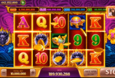 Trik Pola Scatter Naga Hitam Untuk Main Game Slot 5 Dragon Higgs Domino! Dapat Jackpot Melimpah!