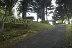 Review Javana SPA & Resort Sukabumi, Solusi healing Tenang di Puncak Bogor