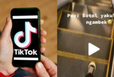 Apa Itu Tren Botol Yakult? Viral di TikTok, Ungkapan Untuk Postur Tubuh Cewek Mungil