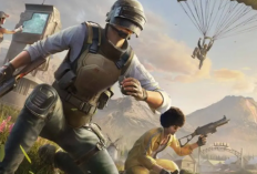 Jual Beli Akun PUBG Sultan Termurah 2024, Dilengkapi Daftar Urutan Rank Terendah ke Tertinggi