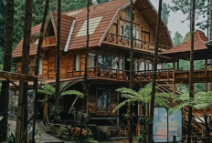 Harga Sewa Villa di Wisata Guci Forest Tegal Jawa Tengah Tahun 2023, Staycation Asyik Sambil Menikmati Pemandangan Alam