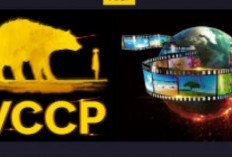VCCP APK Penghasil Uang Penipuan atau Bukan? Indikasi Scam dan Skema Ponzi!