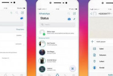 Link Download GB Whatsapp iPhone Theme Terbaru 2024, Splitmode for Multitasking!