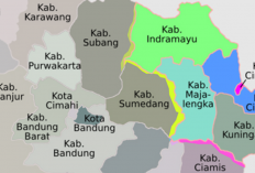 Wacana Pemekaran Provinsi Cirebon Raya, Legislator PKB: Saya Siap Jadi Gubernurnya!