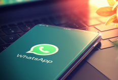 Cara Membuat Spam Bom Chat di WhatsApp Terbaru 2023, Dijamin Langsung Berhasil dan Selesai dalam Hitungan Detik