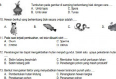 Link Download Soal IPA Kelas 6 Semester 2 Kurikulum Merdeka PDF Lengkap Dengan Kunci Jawaban dan Pembahasannya