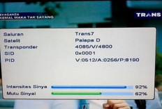 Frekuensi TV Digital Solo dan Daerah Sekitar Jawa Tengah, Lengkap di Sini!