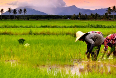 Contoh Surat Izin Usaha Pertanian Berdasarkan Peraturan Menteri Pertanian No. 5 Tahun 2019