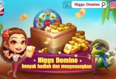 Agen Bongkaran Chip Higgs Domino 25 Desember 2023, Mulai Jam 00.00 Siap Klaim dengan Harga Spesial!