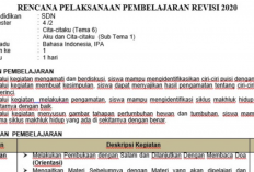 Download Rencana Pelaksanaan Pembelajaran (RPP) Kelas 2 Semester 2 SD/MI Untuk Semua Tema!