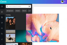 Link Download Canva Mod Apk Premium Unlock All Versi Terbaru 2024 Gratis Cobain Semua Fiturnya Sekarang 