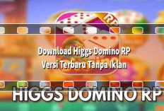 Downlaod Higgs Domino Versi RP 1.77 APK, Sudah Terpasang X8 Speeder Full Design Keren