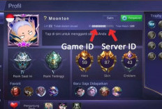Cara Cek User ID ML (Mobile Legends) Teman Mudah Terbaru 2024, Bisa Intip Langsung Akunnya!