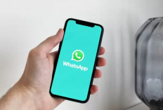 Link Bot Confess Whatsapp Masih Aktif Terbaru 2024, Beserta Cara Kirim Pesan Anonim ke Seseorang!