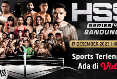 Jadwal Tinju HSS Series 4 Beserta Daftar Petarung Lengkap! Mulai Celebrity Fight Hingga Pro Fight 