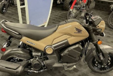 Honda Navi 2024 Jadi Gebrakab Baru! Skutik Unik dan Menarik Perhatia untuk Para Gen Z!