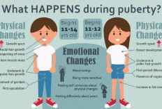 Kumpulan Contoh Poster Pubertas Untuk Remaja, Perubahan Fisik Yang dan Ciri Lain yang Perlu Diketahui!