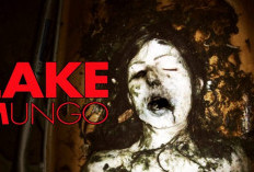 Viral! Misteri Kematian di Danau Mungo, Sinopsis Film Horor Lake Mungo (2008) Menguak Teror Mistis Alice