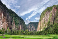 Viral! Lembah Harau Sumatera Disebut Mirip Desa di Konoha, Mulai Tebing Hingga Pemandangannya