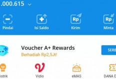 Khusu Hari Ini! Upgrade Premium Dapat Saldo DANA Rp 1 Juta, Segera Daftarkan dan Ikuti Langkahnya Disini