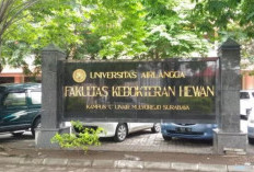 Daftar Fakultas Kedokteran Hewan yang Sepi Peminat Tahun 2024, Dijamin Peluang Masuk Besar!
