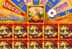 Tips Menang Slot Rezeki Nomplok Higgs Domino Island, Dapatkan Jackpot RJ Full Kipas Renom 90B