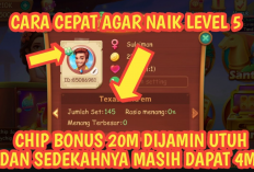 Rahasia! Trik Ini Ampuh Tingkatkan Level Higgs Domino Dengan Cepat, Akun Jadi Makin Gacor Dapat Jackpot