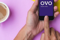 Cari Lokasi Kantor OVO Terdekat, Bisa Pakai Gmaps atau Langsung Chat di Aplikasi
