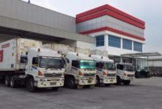 Lowongan Kerja PT Internusa Mega Logistik (IML) Terbaru 2024,  Tanpa Pengalaman Bisa Daftar!