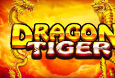 Link Download Dragon vs Tiger Hack Mod Apk Unlimited Money Terbaru 2024 Full Gacor, Cekidot