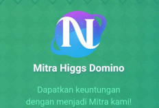 Cara Daftar Menjadi Agen Resmi Higgs Domino Island, Beriku Syarat Lengkap yang Harus Diketahui agar Aman