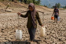 Kekeringan di Pandeglang Buat Sumur Mengering Warga Nekad Pakai Air Parit dan Selokan Sementara Pemkab Distribusikan 313.000 Liter Air Bersih