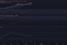 Alami Penurunan! Prediksi Harga Solana Februari 2024, Buat Acuan Cryptokers Wajib Tau Nih!