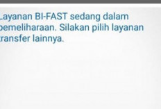 Info BI Fast Error Hari Ini Tangal 21 Februari 2024, Ngadat! Begini Cara Mengatasinya