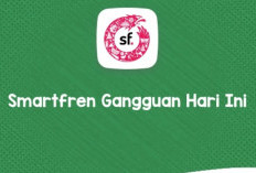 Informasi Smartfren Gangguan Hari Ini 18 Mei 2024, Begini Cara Mudah Mengatasinya!