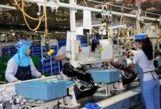 Tugas dan Tanggung Jawab Operator Produksi di Pabrik, Wajib Bisa Menguasai Skill Untuk Jobdesk Ini 